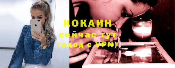 индика Алексеевка