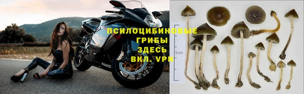 прущий лед Алексин