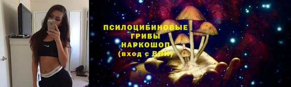 индика Алексеевка