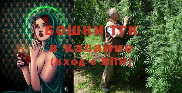 индика Алексеевка